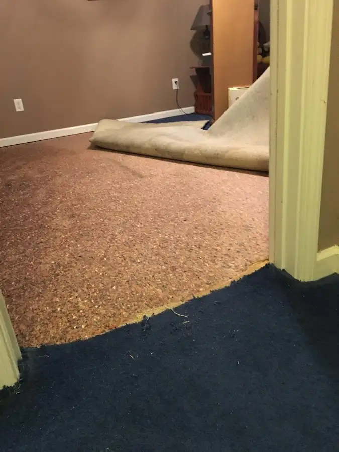 Carpet pad removal revealing water damage during Water Mitigation Services in Lakeway
