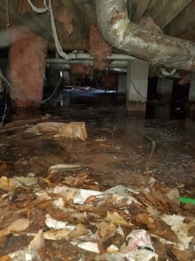Crawl space flood assessment for Leak Detection & Repair in Lakeway