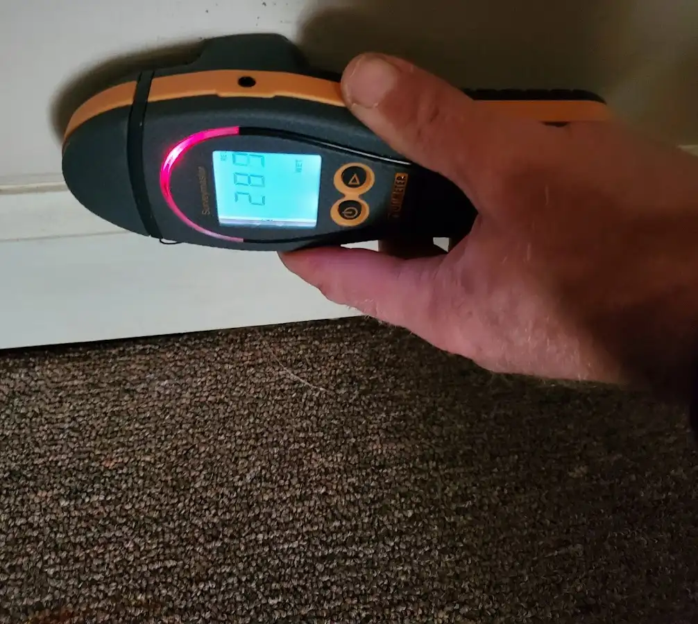 Moisture detection at baseboard during Sewage Cleanup & Sanitation in Lakeway