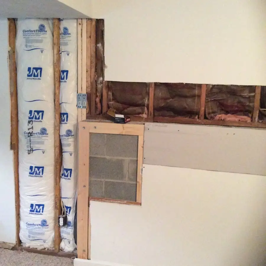 Wall insulation replacement during Odor Removal & Deodorization in Lakeway